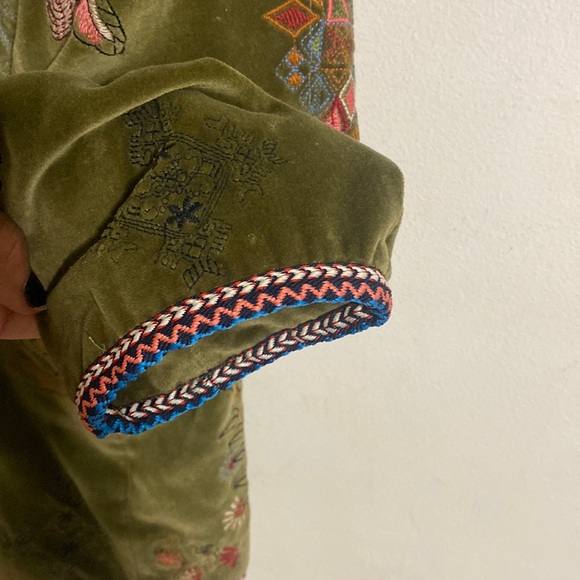 Zara Woman Velvet Embroidered Beetles Flowers Blazer in Johnny Was style - Picture 7 of 12